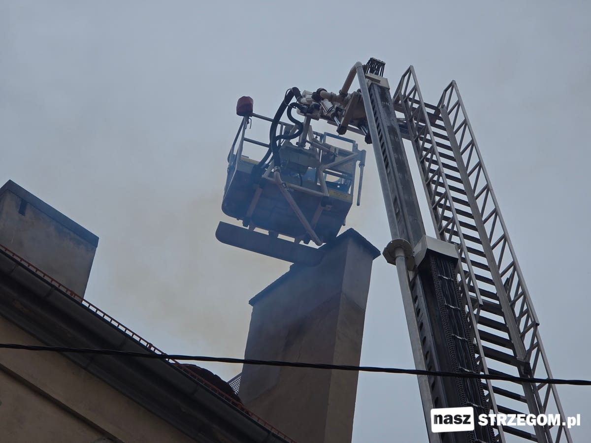 Akcja strażaków przy Alei Wojska Polskiego w Strzegomiu [FOTO] 